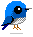 bird