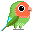 bird