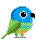 bird