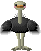bird