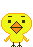 birdbrain