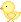 birdey
