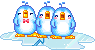 birdtrio