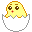 chickhatch