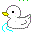 duckwhite