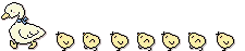 ducky with chickies