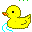 duckyellow