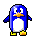 funny penguin