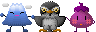 hawk