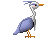 hbird