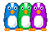 multicolored birds