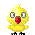 parakeet