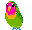 parrot