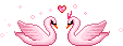 pink swans