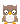 tiny owl