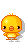 yellow chick