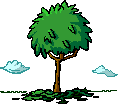 animado nature