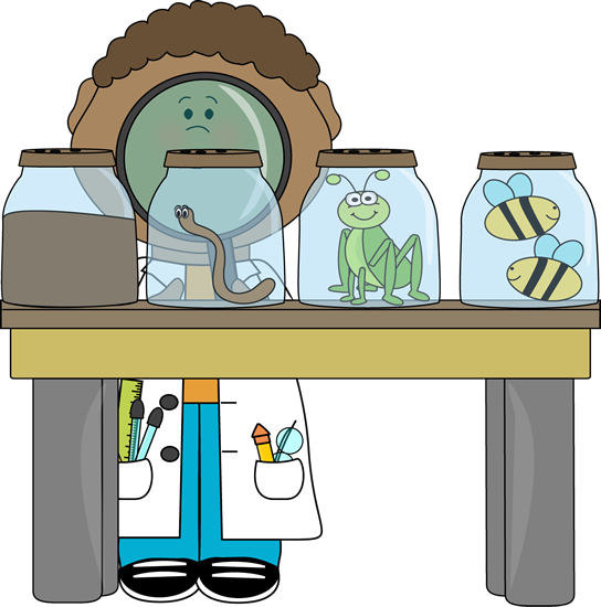 scientist inspecting insects