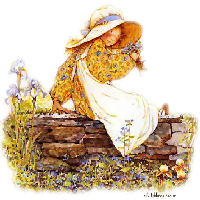 hollie hobbie s