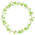 StPaddyWreath  mollys