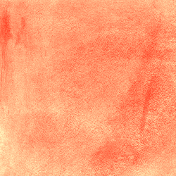 Seachell SpringTime Paper