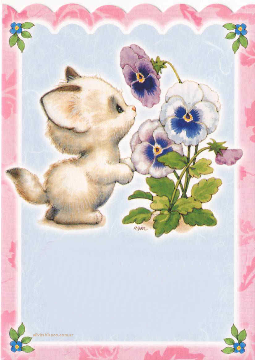 RMCartePostaleSourinelleScan