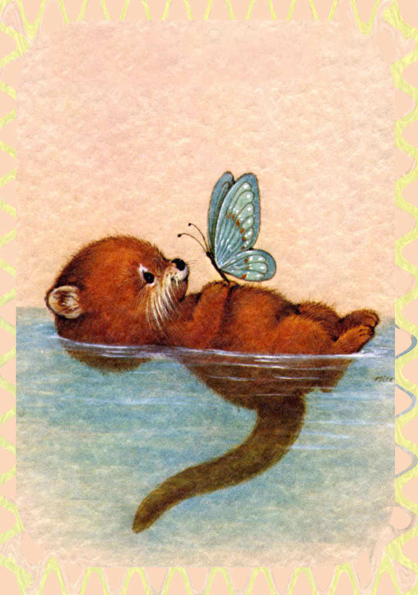 lprMoreheadcard