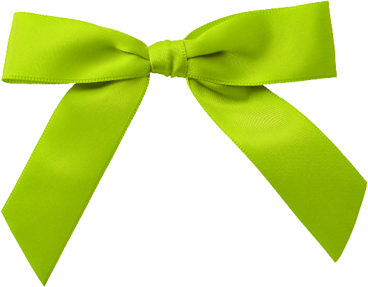 cbg toadallycute bow