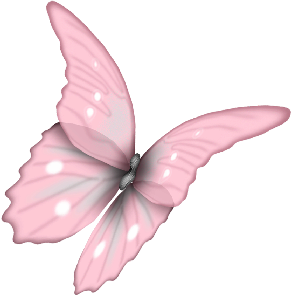 cbg toadallycute butterfly