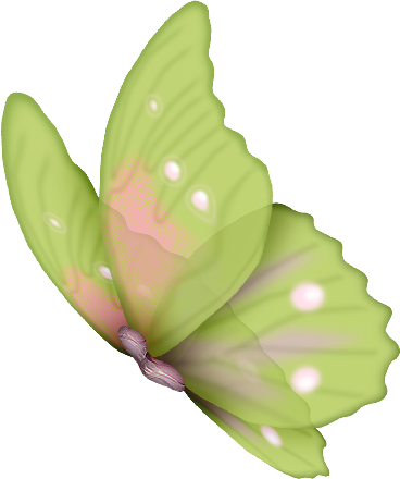 cbg toadallycute butterfly