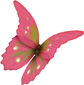 cbg toadallycute butterfly
