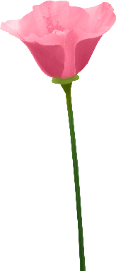 cbg toadallycute flower