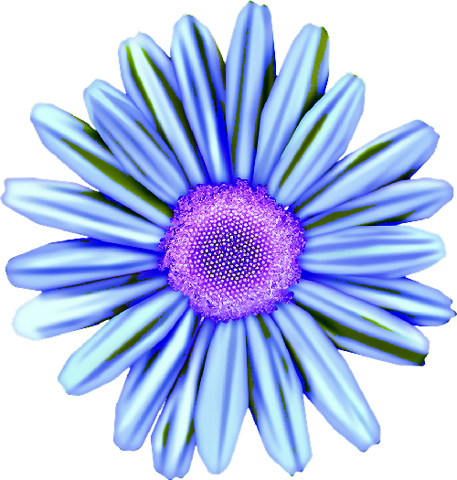 cbg toadallycute flower