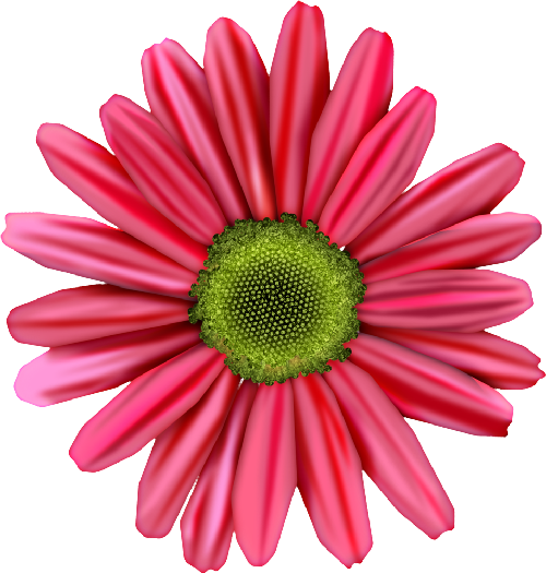 cbg toadallycute flower