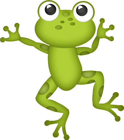 cbg toadallycute frog