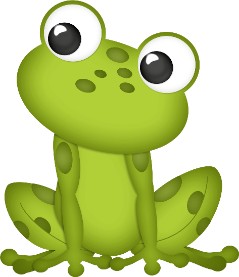cbg toadallycute frog