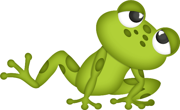 cbg toadallycute frog