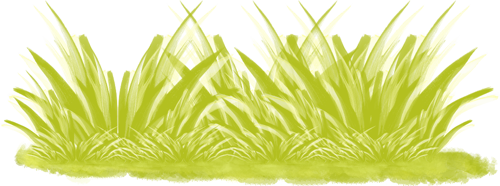 cbg toadallycute grass