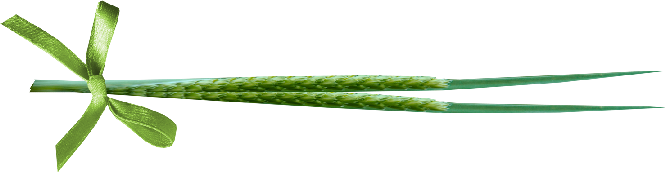 cbg toadallycute grass