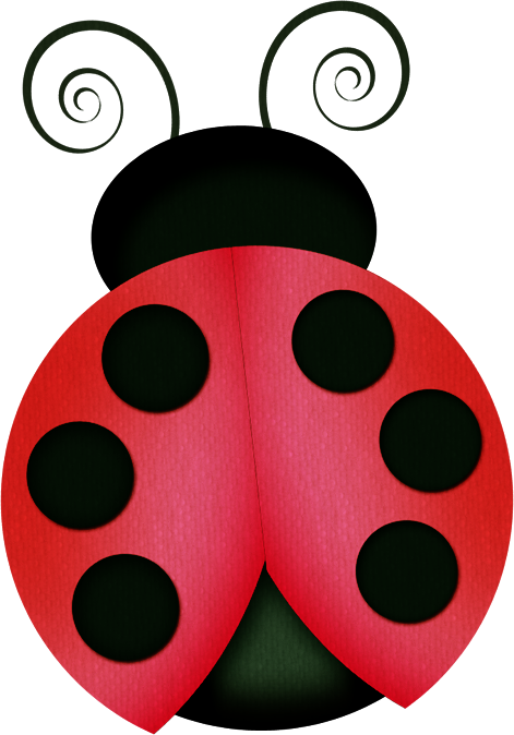 cbg toadallycute ladybug