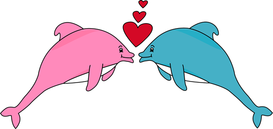 valentines day dolphin