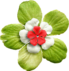 KMILL realflower