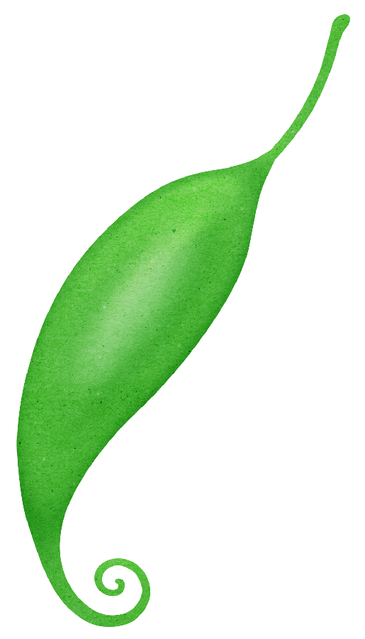 famaura kiitalojmigajoaninha