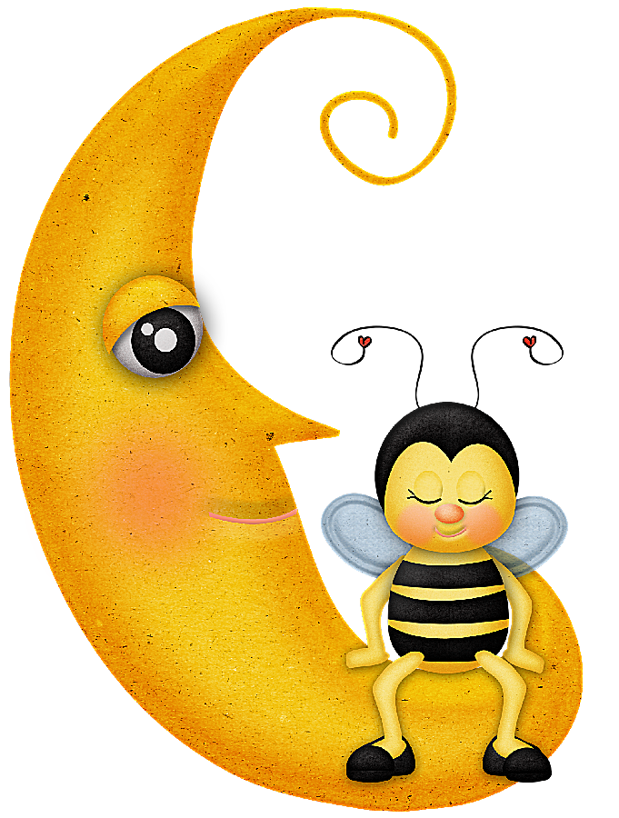 Material para la escuela, bichos, Insectos, flores, Marcos ilustraciones en PNG