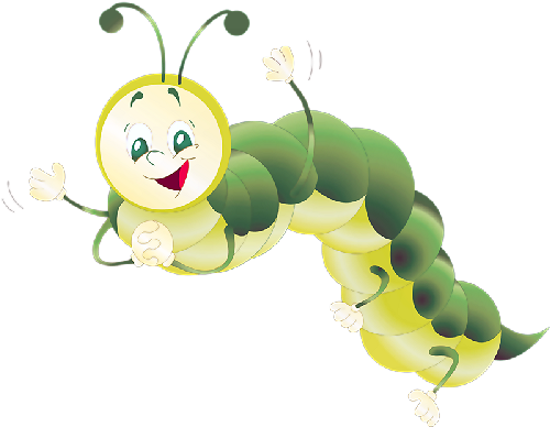 gusano