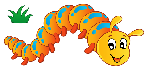 gusano