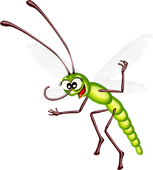 bugs