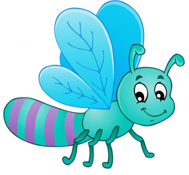 bugs