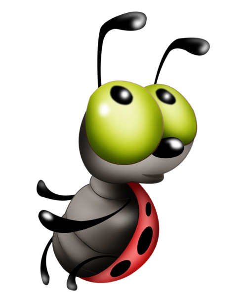 bugs