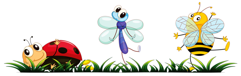 bugs